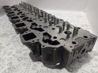 photo_11_2025-01-29_11-01-55