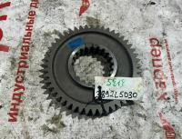 3892l5030