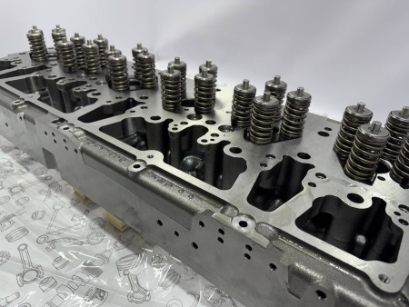 photo_44_2025-02-28_15-16-31