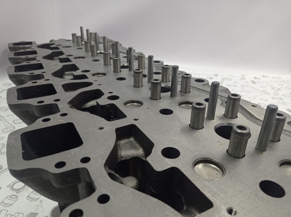 photo_15_2025-01-29_11-01-55