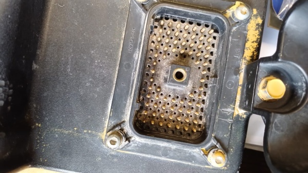 WhatsApp Image 2024-06-14 at 13.12.57