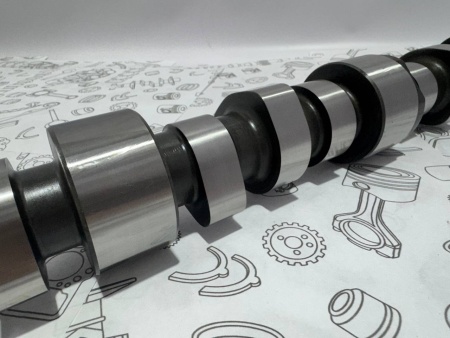 photo_3_2025-03-21_10-15-46