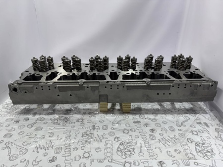 photo_43_2025-02-28_15-18-06