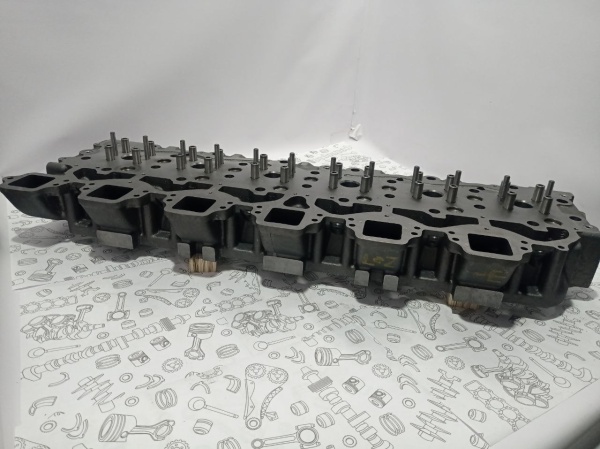 photo_21_2025-01-29_11-01-55