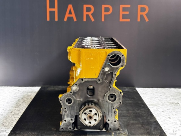 photo_55_2025-07-21_16-09-50