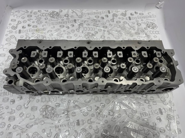 photo_24_2025-01-21_17-24-29