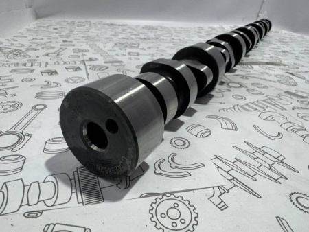 photo_10_2025-03-21_10-15-46